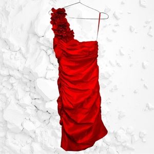 Hailey Adrianna Papell Crimson Red One Shoulder Formal Ruffled Dress size 8